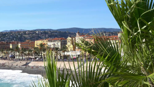 Palm leaves in front of a panoramic view of Nice’s beach, palm-lined promenade, and pastel colored buildings with the hills in the background - Starpik Stock