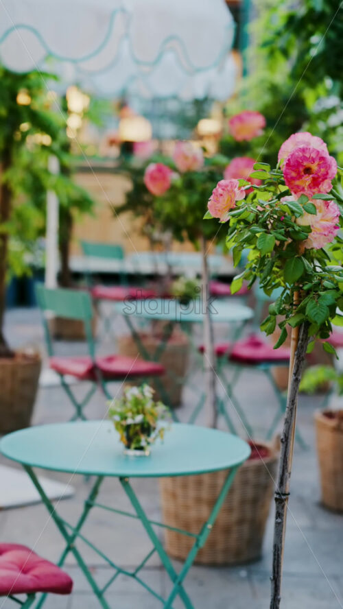 Pink climbing roses in pots at an outside cafe with mint green tables and chairs. Vertical - Starpik Stock