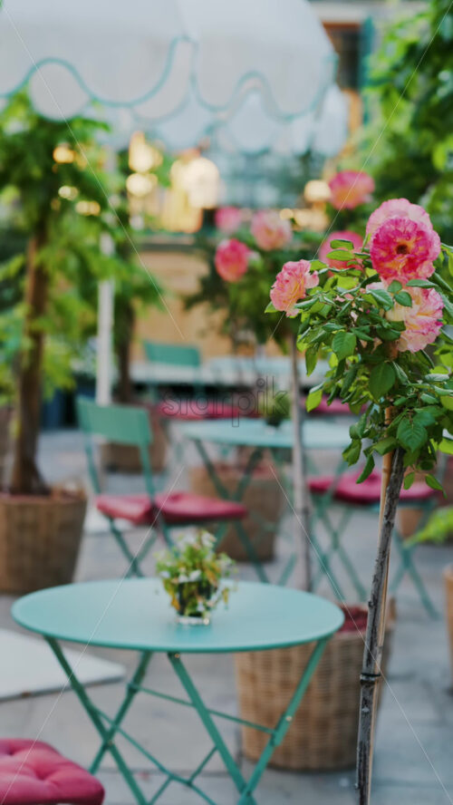 Pink climbing roses in pots at an outside cafe with mint green tables and chairs. Vertical - Starpik Stock