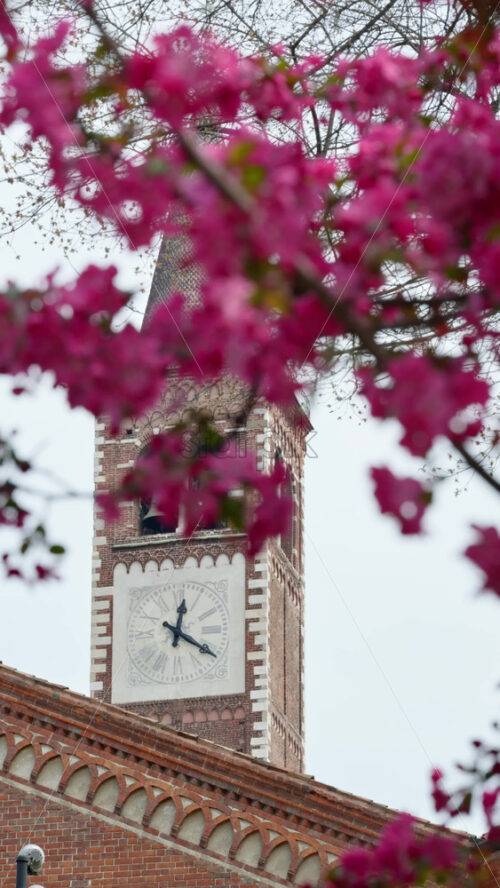 The Basilica of Sant’Eustorgio with blurred pink flowers on an apple tree in front in Milan, Italy. Vertical - Starpik Stock