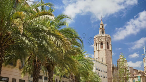 Video – Daytime view of El Micalet bell tower rising above palm trees and surrounding historic roof in the Cathedral precinct, Valencia, Spain - Starpik Stock