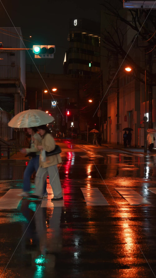Video - Kyoto, Japan - April 11, 2025: Blurred view of people and cars moving on the streets of the city with orange lights on a rainy evening. Vertical