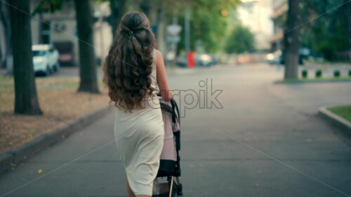 View from the back of a woman with long wavy hair pushing a stroller along a tree-lined park pathway - Starpik Stock