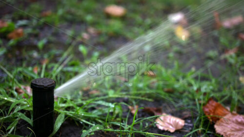 Water sprinkler in action, spraying water across grass and plants - Starpik Stock