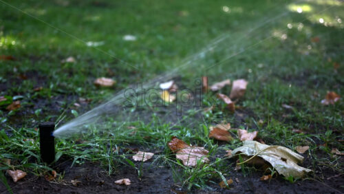 Water sprinkler in action, spraying water across grass and plants - Starpik Stock
