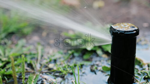 Water sprinkler in action, spraying water across grass and plants - Starpik Stock