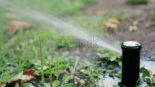 Water sprinkler in action, spraying water across grass and plants - Starpik Stock