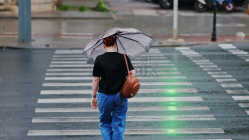 Woman holding an umbrella crossing the street at a green light on a rainy day in Chisinau, Moldova - Starpik Stock