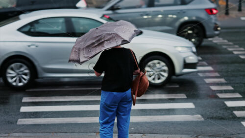 Woman holding an umbrella waiting at a pedestrian crossing on a rainy day in Chisinau, Moldova - Starpik Stock