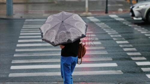 Woman holding an umbrella waiting at a pedestrian crossing on a rainy day in Chisinau, Moldova - Starpik Stock
