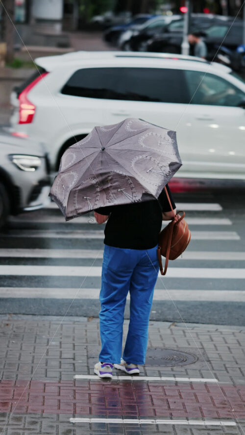 Woman holding an umbrella waiting at a pedestrian crossing on a rainy day in Chisinau, Moldova. Vertical - Starpik Stock