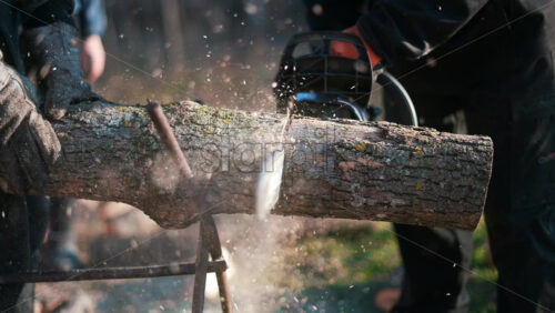 Video - Man in gloves is choping wood using a chainsaw. Close view