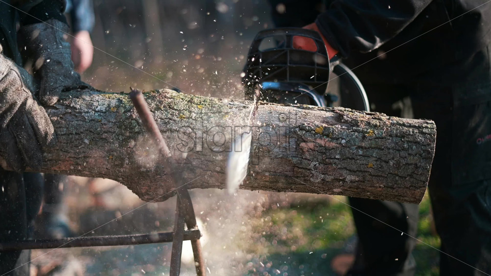 Video - Man in gloves is choping wood using a chainsaw. Close view