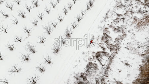 Video - Aerial drone view of a male hunter with a gun in his hand looking for an animal in a field during the winter. Ground covered in snow