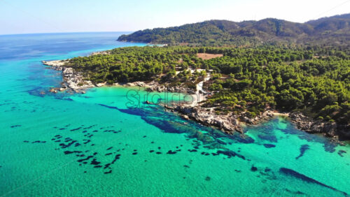 Video - Aerial drone view of the Aegean sea rocky coast with blue transparent water, multiple greenery, hills. Greece