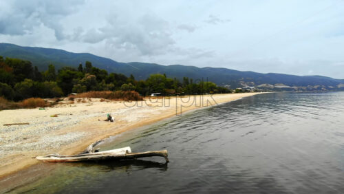 Video - View of the Aegean sea coast in Greece. Long beach with an old trunk in the water, small waves, greenery on the left