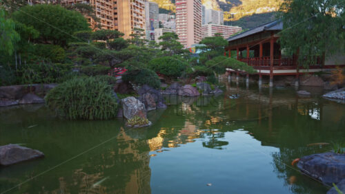 Video - Princess Grace Japanese Garden City park in Monaco with the skyline of the city on the background