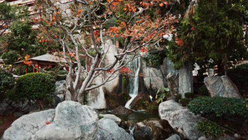 Video - View of the a small waterfall in the Japanese Gardens in Monaco