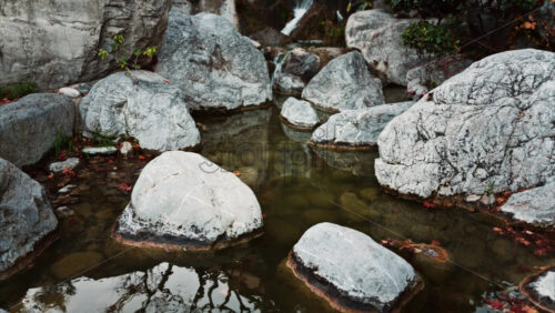 Video - View of the a small waterfall in the Japanese Gardens in Monaco
