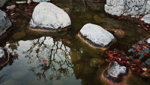 Video - Rocks in a pond in the Japanese Gardens in Monaco
