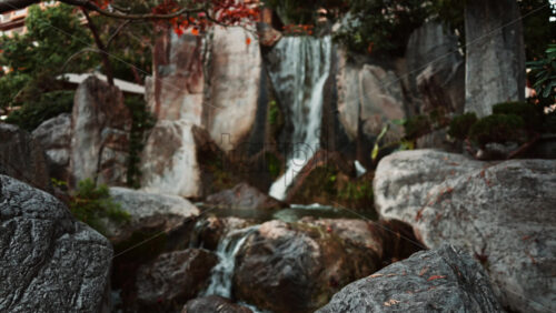 Video - View of the a small waterfall in the Japanese Gardens in Monaco
