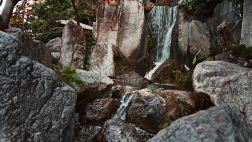 Video - View of the a small waterfall in the Japanese Gardens in Monaco