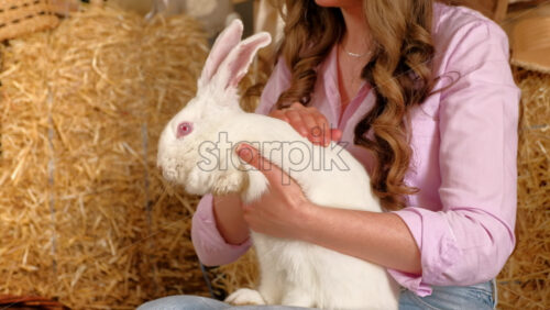 Video - Woman petting a white bunny in the barn near square hay bales, in daylight