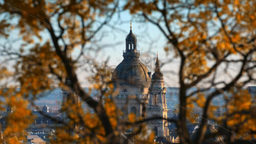 Video - Saint Stephen's Basilica with branches with yellow leaves in the foreground. Sunset in Budapest, Hungary