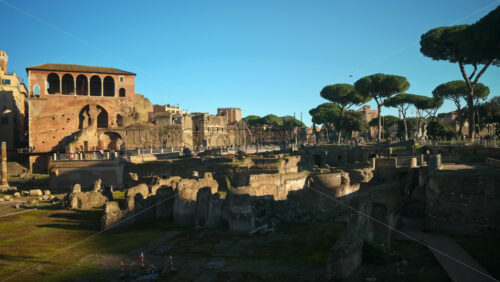 Video - Ruins of the Roman Forum at sunset in Rome, Italy