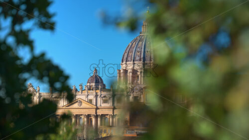 Video - The dome of Saint Peter's Basilica in Vatican city. Green leafs in foreground. Sunset in Italy