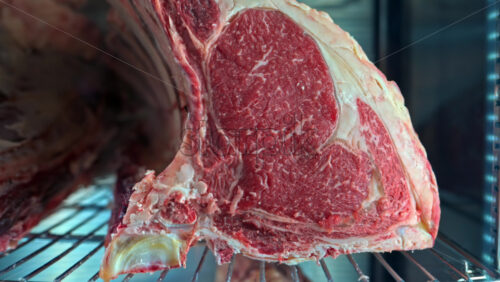 Video - Fresh, raw beef with bone being prepared