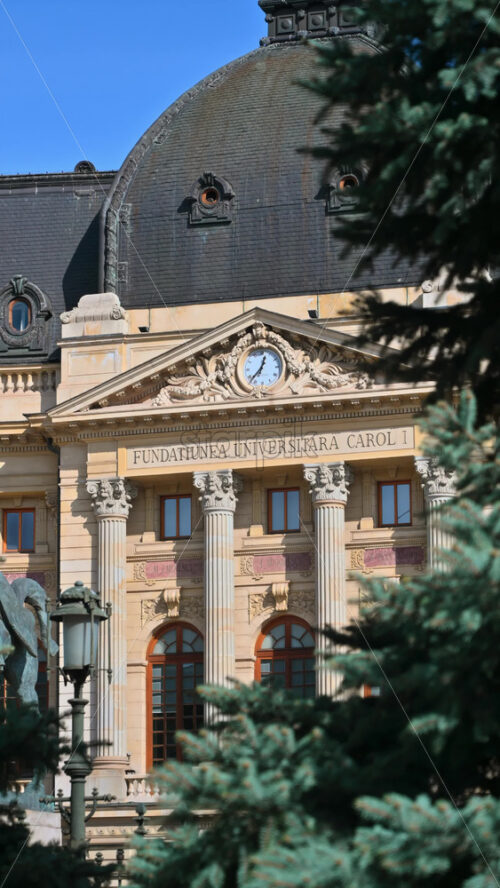 Video - Central University Library Carol I at sunset. Fig tree branches in foreground. Vertical shot. Bucharest, Romania