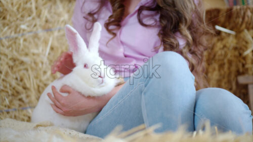 Video - Woman petting a white bunny in the barn near square hay bales, in daylight