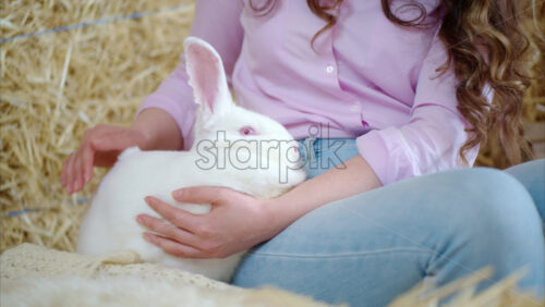 Video - Woman petting a white bunny in the barn near square hay bales, in daylight