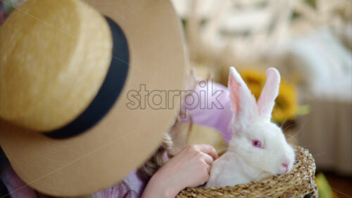 Video - Woman petting a white bunny in the barn near square hay bales, in daylight