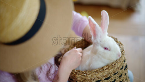 Video - Woman petting a white bunny in the barn near square hay bales, in daylight