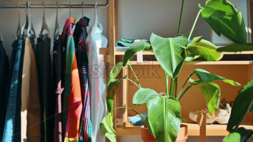 Video - A well-lit, organized interior of an eco-friendly shop with clothes hang on brown paper hangers