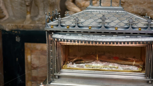 z8alicante100.mov - Starpik Stock