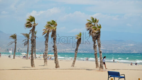 z8alicante136.mov - Starpik Stock