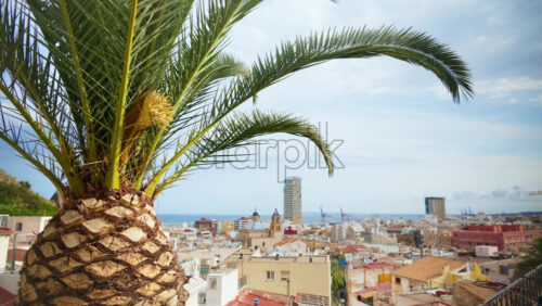 z8alicante162.mov - Starpik Stock