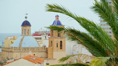 z8alicante164.mov - Starpik Stock