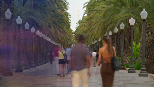 z8alicante17.mov - Starpik Stock