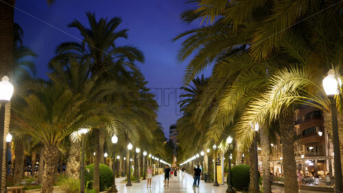 z8alicante22.mov - Starpik Stock