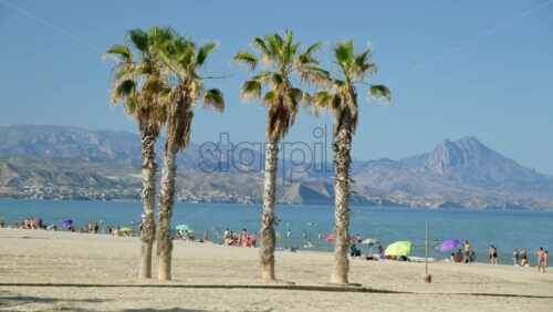 z8alicante283.mov - Starpik Stock