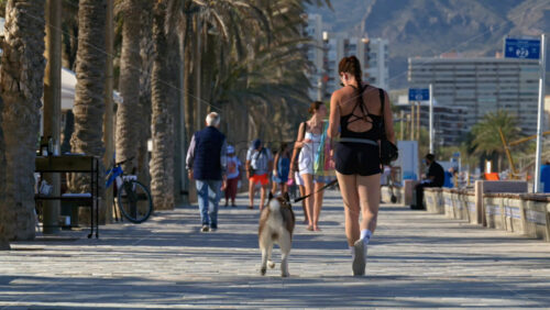 z8alicante286.mov - Starpik Stock