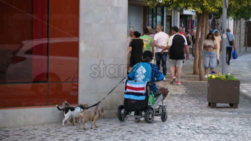 z8alicante320.mov - Starpik Stock