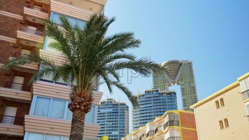 z8alicante341.mov - Starpik Stock