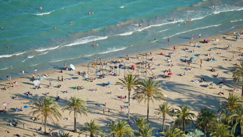 z8alicante35.mov - Starpik Stock