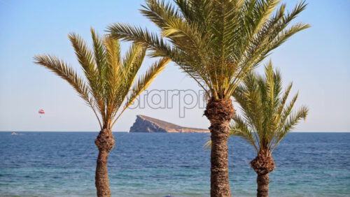 z8alicante351.mov - Starpik Stock