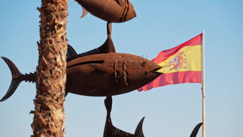 z8alicante361.mov - Starpik Stock